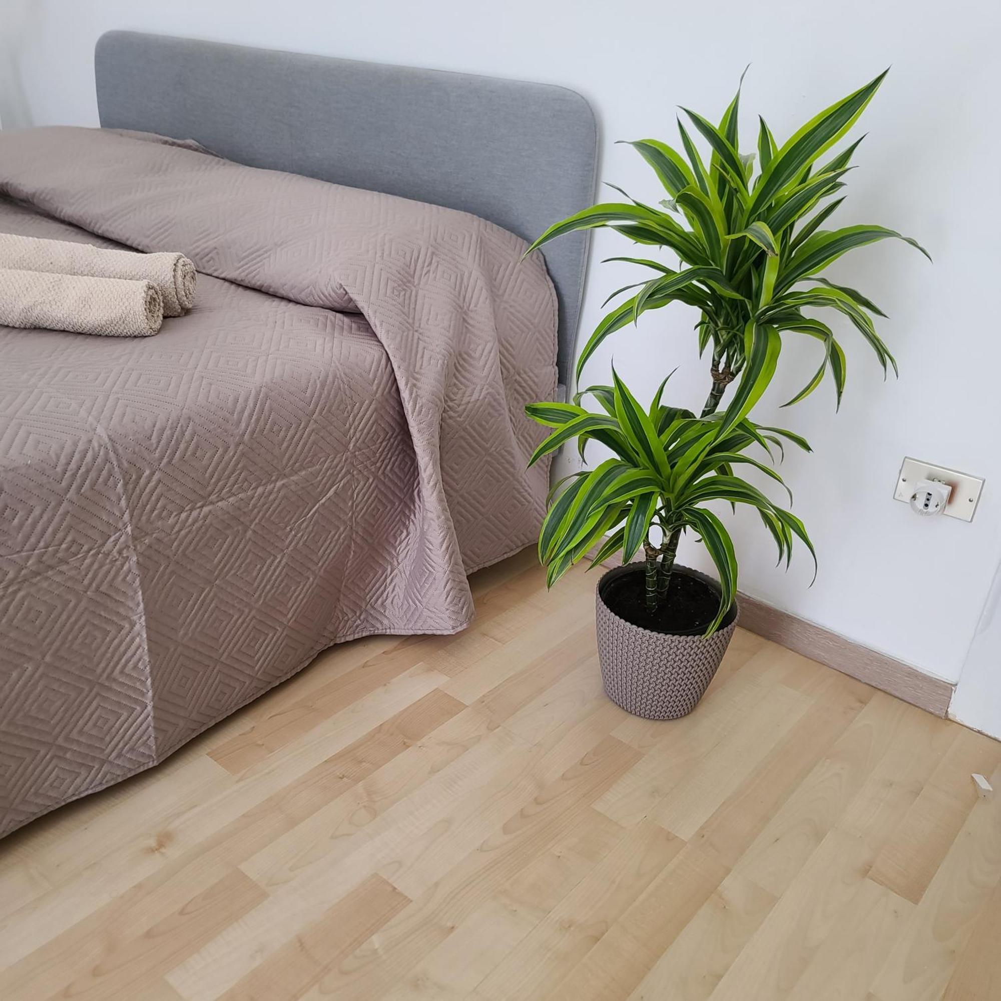 Mariamora Apartment Бари Екстериор снимка